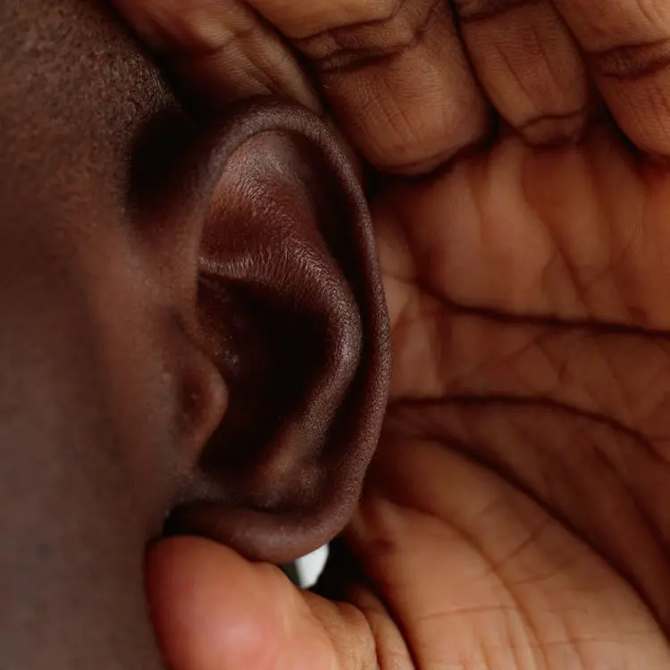 Auriculaire